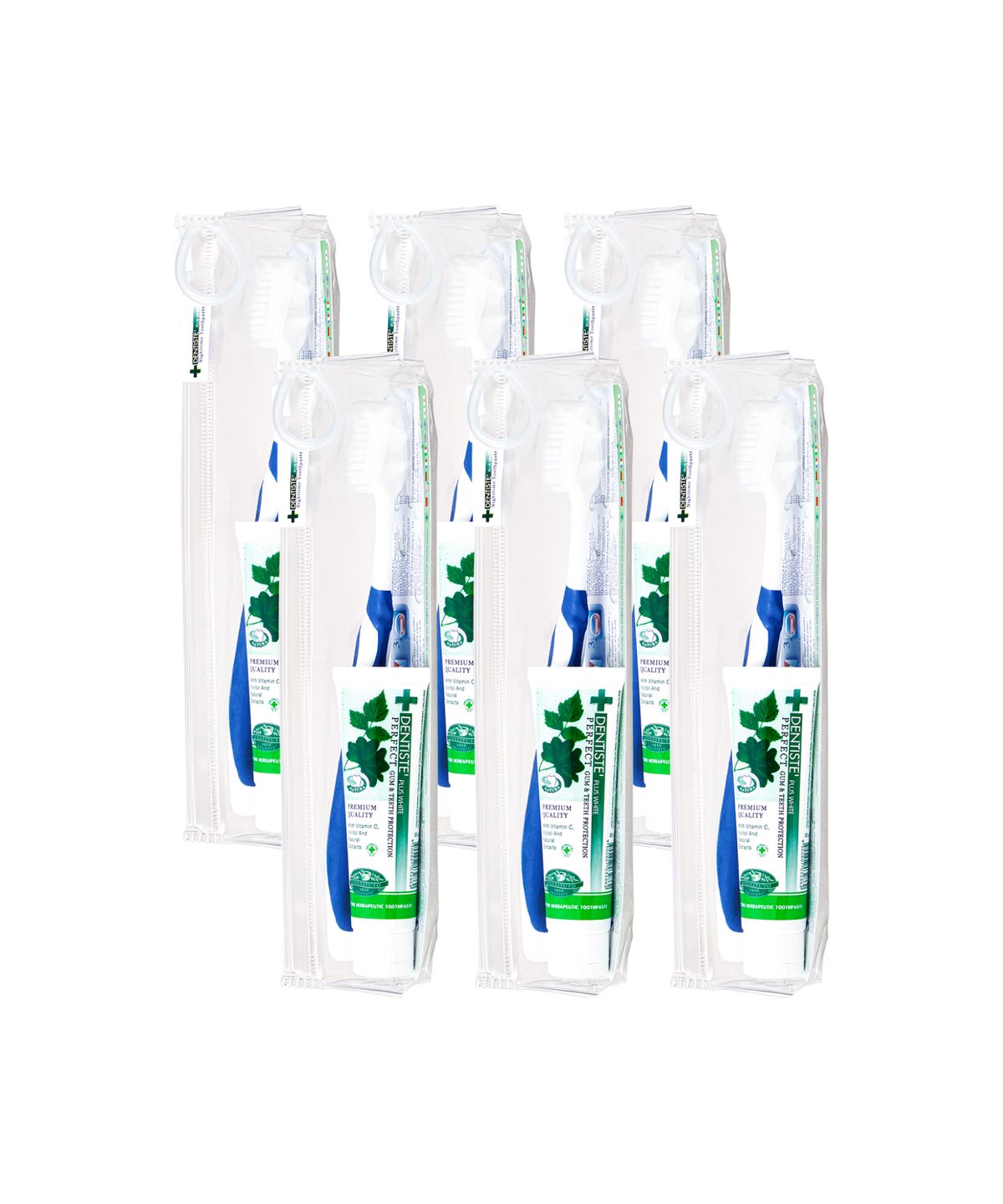 덴티스테(DENTISTE) 덴티스테 여행용세트 (치약칫솔구성) x 6개