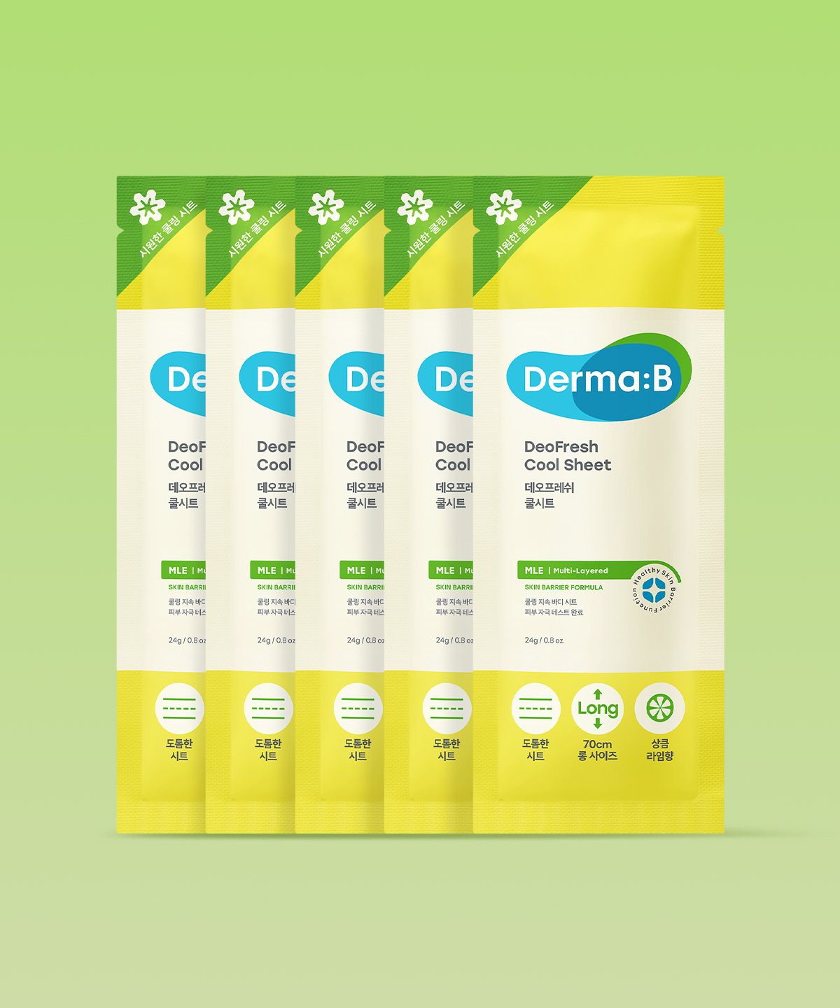 더마비(DERMAB) 데오프레쉬 쿨시트 24G 5개