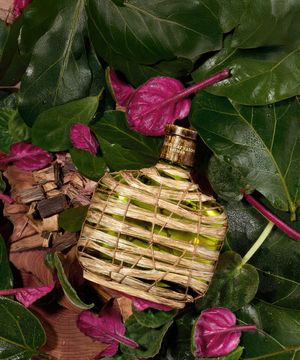 아티산 포레스트 EDP 75ML