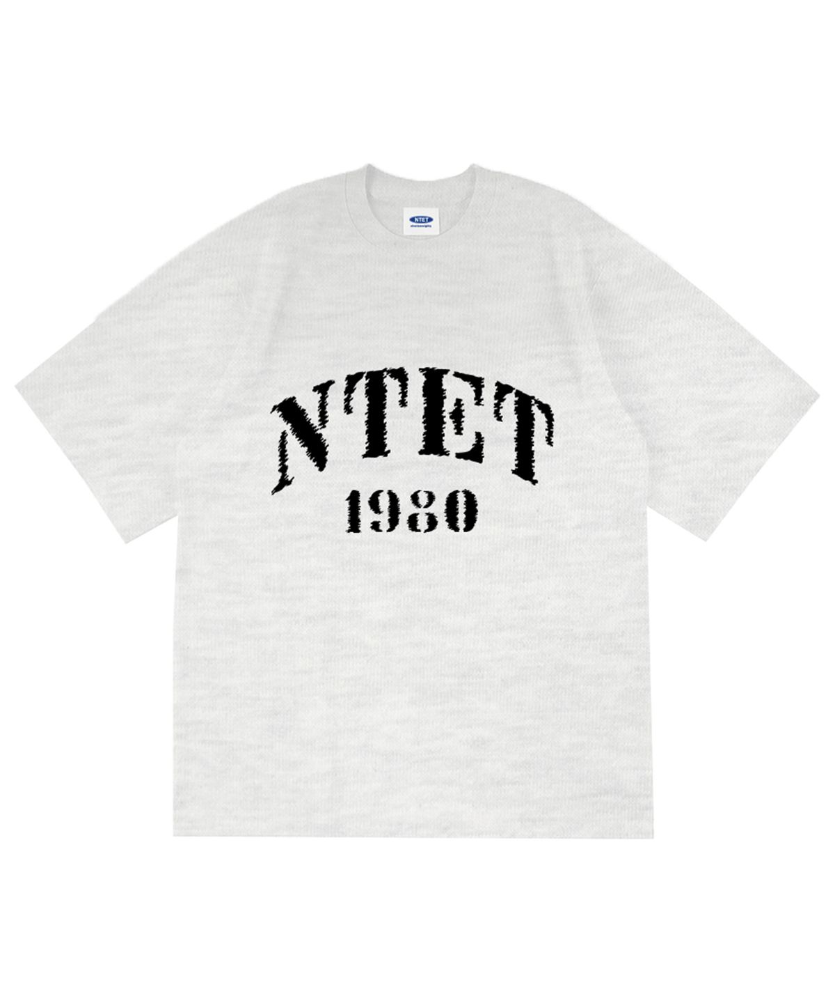 엔티이티(NTET) 1980버즈 오버핏 반팔티 백메란지