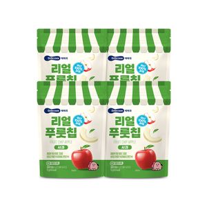 리얼푸룻칩 사과 4봉