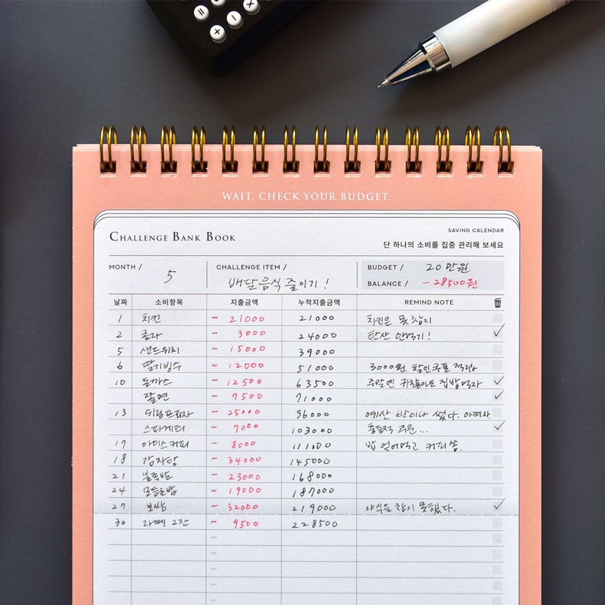 플레픽(PLEPIC) 챌린지뱅크북 (원포인트 가계부)