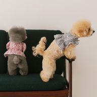 Thumbnail 0