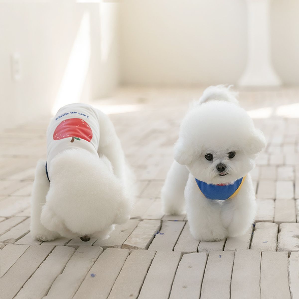 펫츠랜드(PETSLAND) 애플러쉬티셔츠 S-2XL