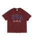 USA 플래그 반팔티셔츠 (와인)