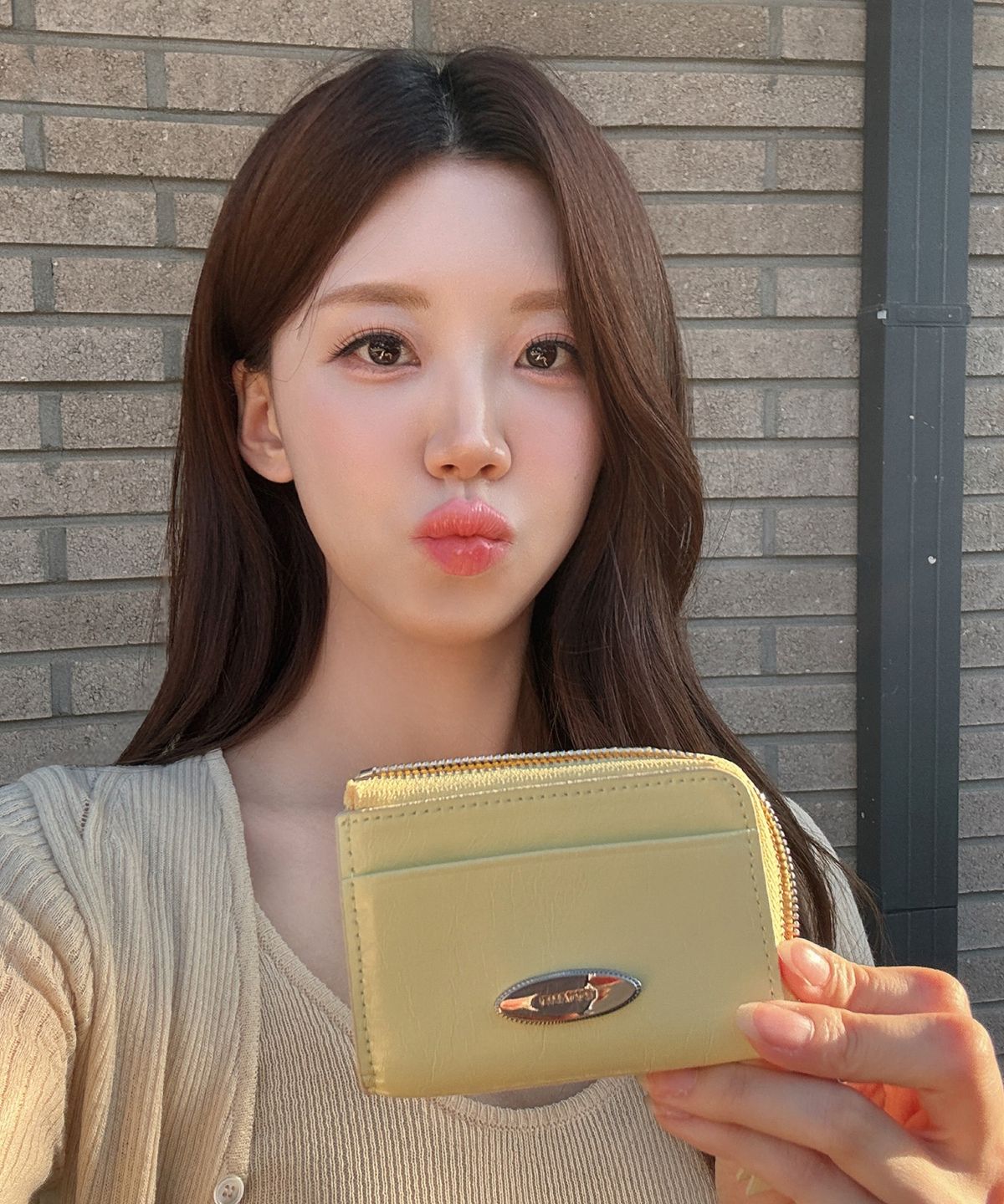투아모(TOOAMO) 조이 지퍼 카드지갑 레몬 [소가죽]