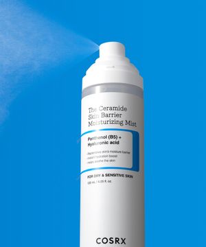 더 세라마이드 스킨 베리어 모이스처라이징 미스트 120ml
