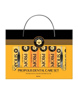 LG설선물세트 프로폴리스덴탈케어세트