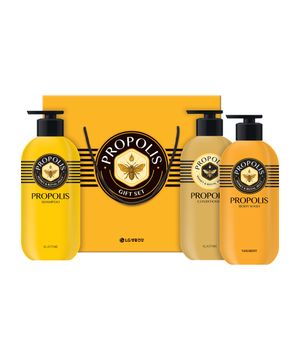 LG설선물세트 프로폴리스 올타임 헤어바디