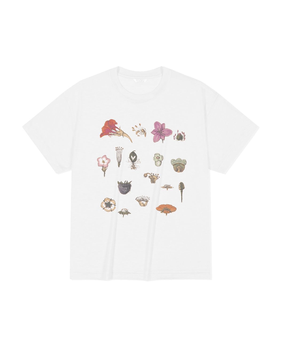 누아누(NUUANU) Botanic Tee_Ivory