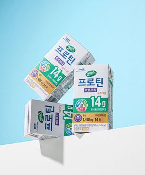 마시는 프로틴 락토프리 음료 단백질 14g 190ml x 24개