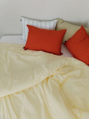 100수 고밀도 옥수수솜 무봉제 차렵이불 SS/Q/K/EK