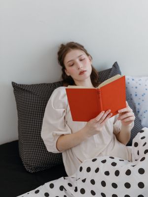 더블 체크 고밀도 순면 삼각 등쿠션 커버