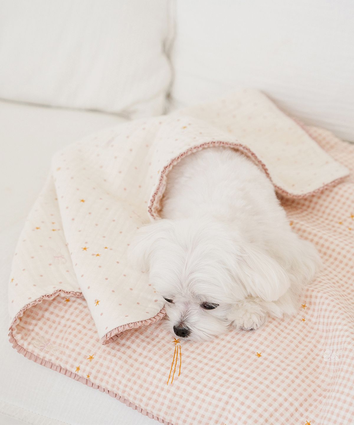 마이리틀독(MY LITTLE DOG) 프리미엄 8중 요루 양면 사계절 담요