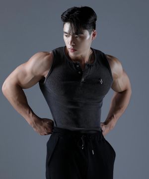 헨리넥 피그먼트 슬리브리스