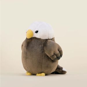 미니 흰머리수리 볼디