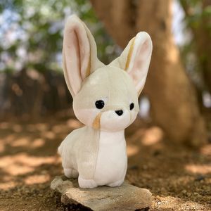 미니 사막여우 페니