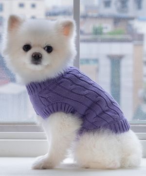 강아지 실내복 순면 니트 퍼플