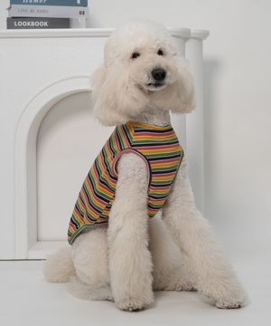 강아지 레인보우 티셔츠 카키브라운