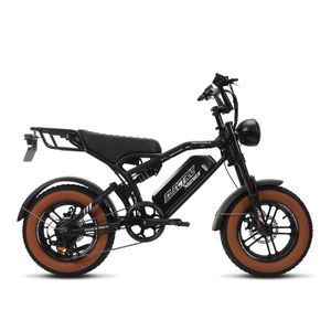 FN16 DUAL 500W 48V 20Ah 자토바이 전기자전거