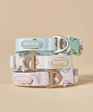 강아지 산책 테디 워키 목줄