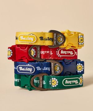 강아지 산책 데이지 워키 목줄