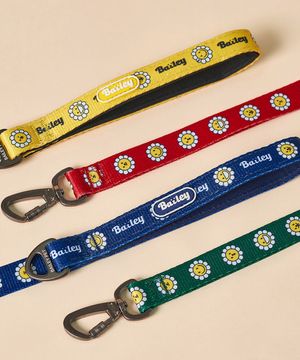 강아지 산책 데이지 워키 리드줄