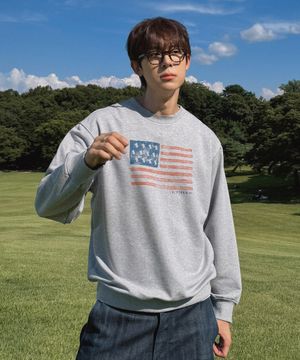 American Flag Sweatshirt / WHMWG2492U