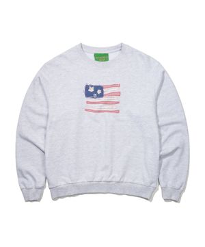 USA FLAG APPLIQUE SWEATSHIRT - LIGHT GRAY