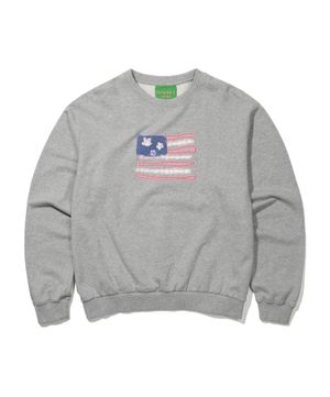 USA FLAG APPLIQUE SWEATSHIRT - GRAY