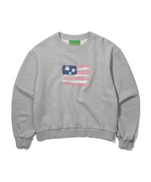 (W) USA FLAG APPLIQUE SWEATSHIRT - GRAY