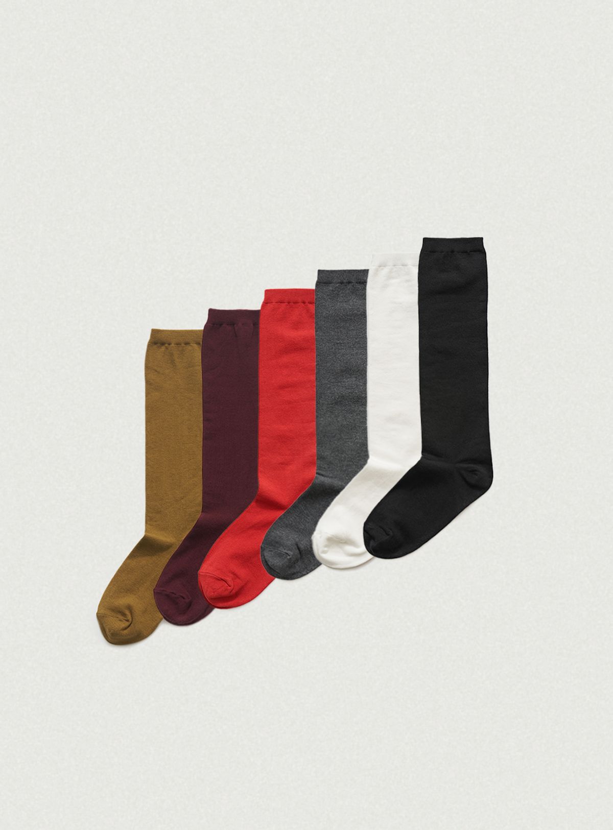 더바넷(THEBARNNET) Cotton Color Knit Socks_6Color