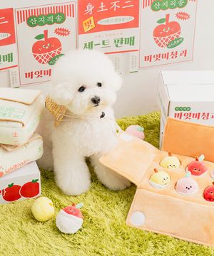 바잇미 종합과일세트 노즈워크 장난감 (노즈워크/삑삑/바스락)