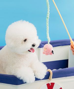 바잇미 캐치미 터그 낚시대 장난감 3종 (삑삑)