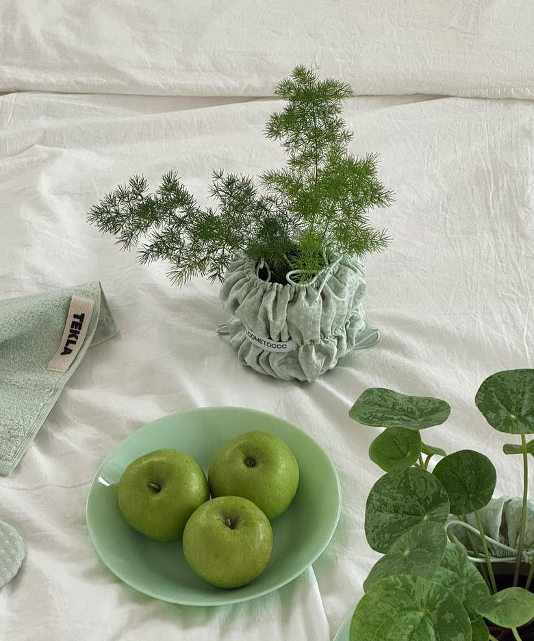 PouPouPot (Dotty Mint) 2Size 화분 팟