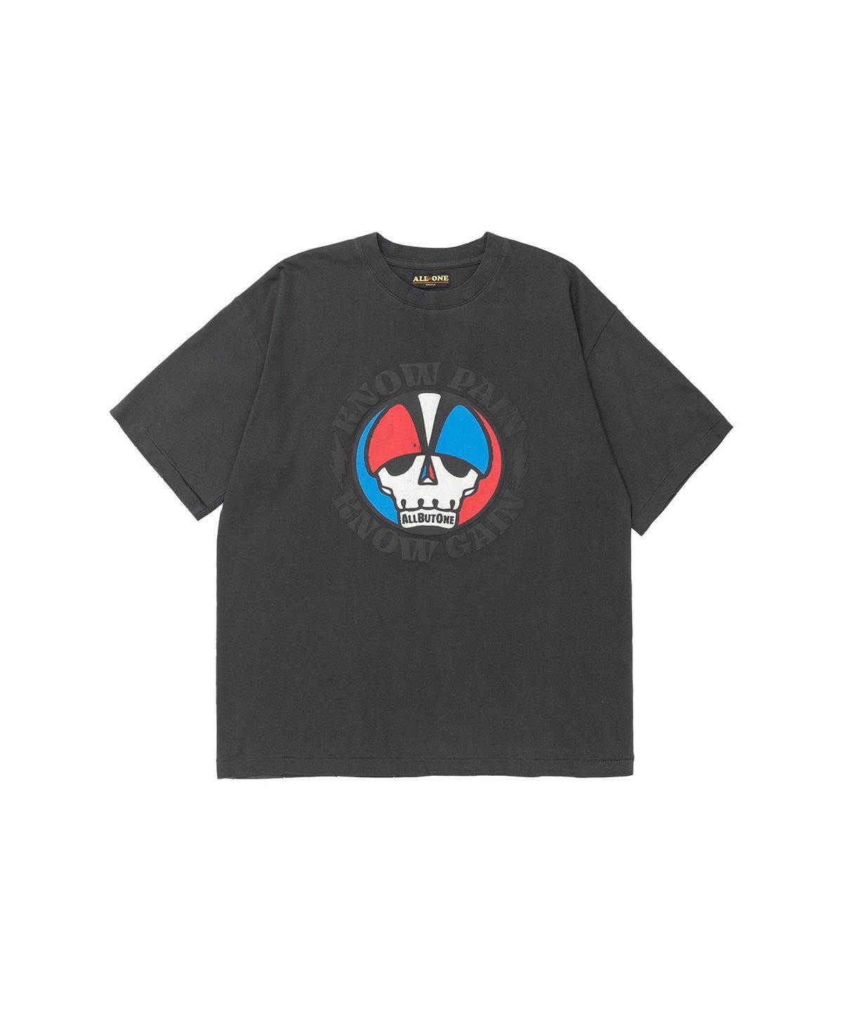 올벗원(ALLBUTONE) 그레이트풀 티 웻 시멘트 그레이