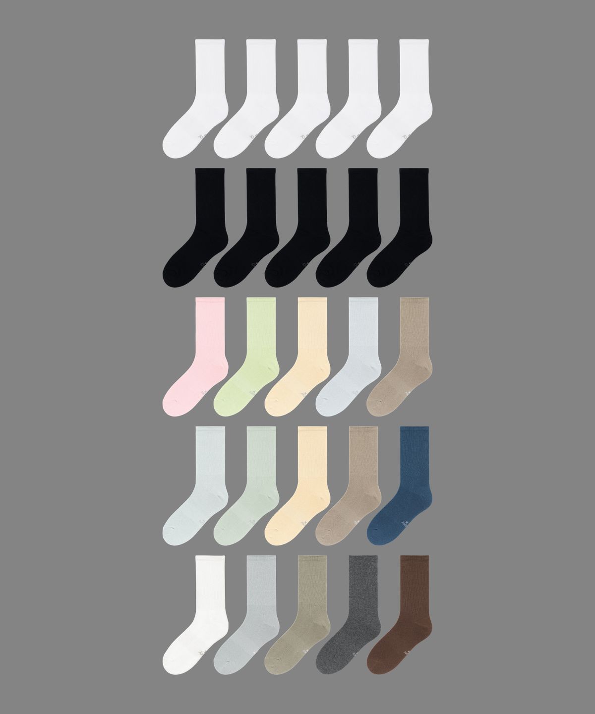 렉시(REXY) 스테디 크루 5팩 (5colors)