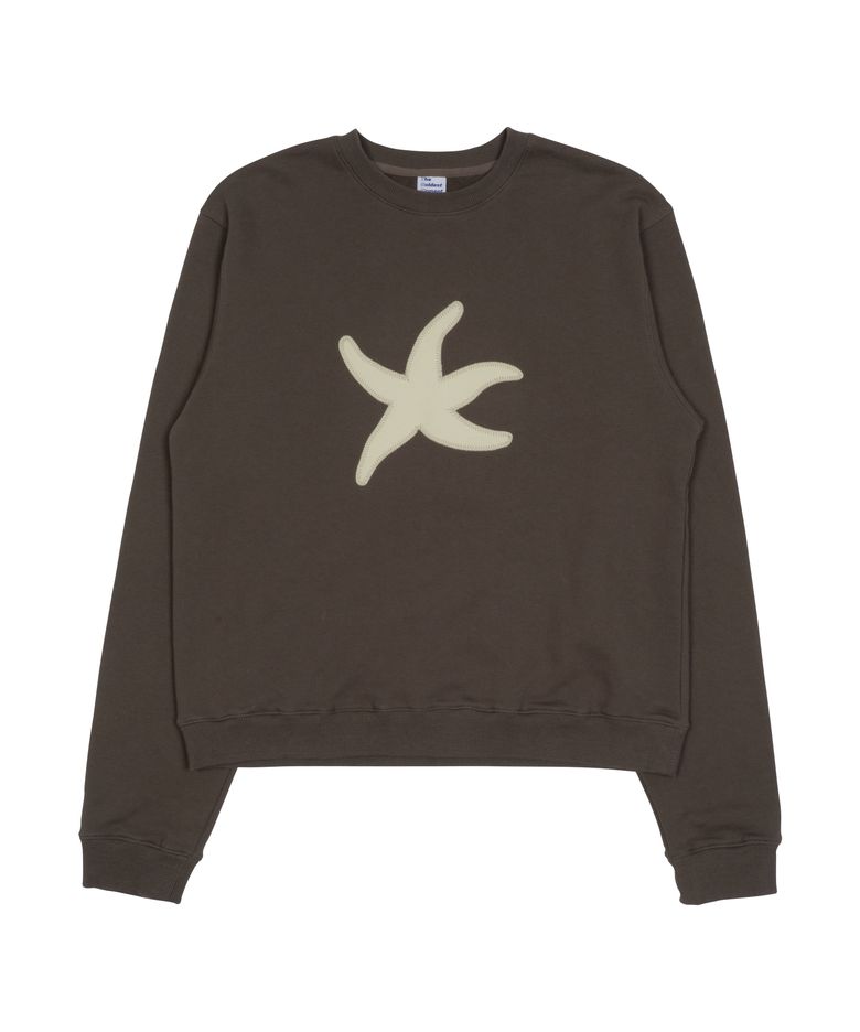 TCM starfish mtm (brown)
