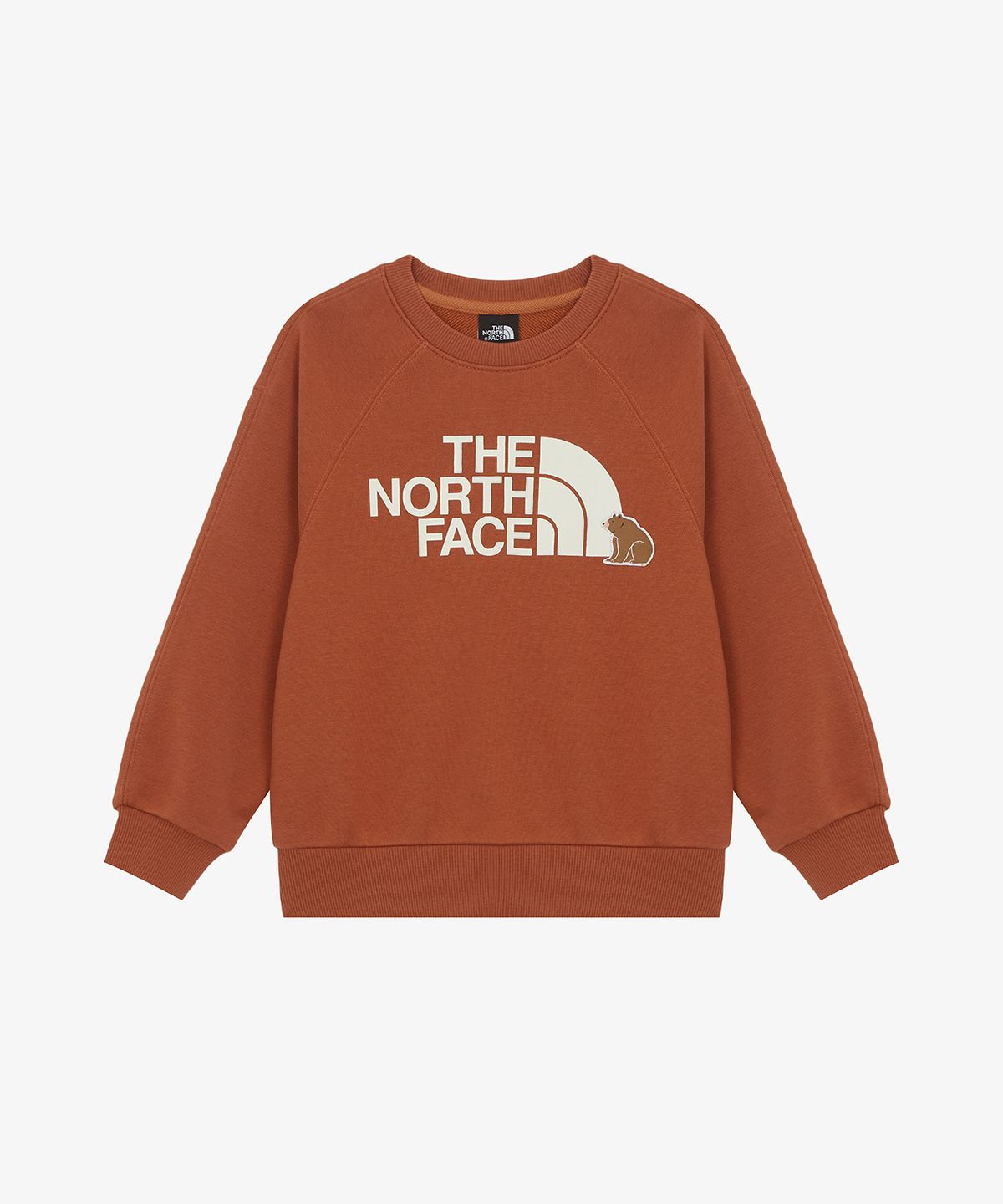 노스페이스 키즈(THE NORTH FACE KIDS) 키즈 애니메이트 스웻셔츠 NM5MR55T_DKO