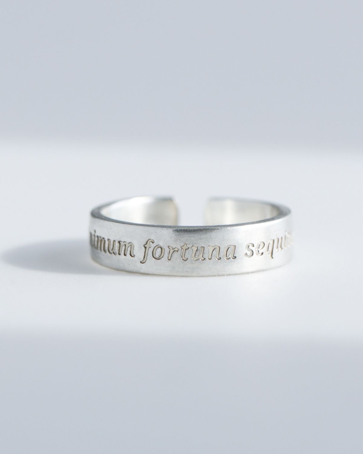 아트레브(ATTREVE) littera_AnimumFortuna_R_0061 [handmade][Silver925]