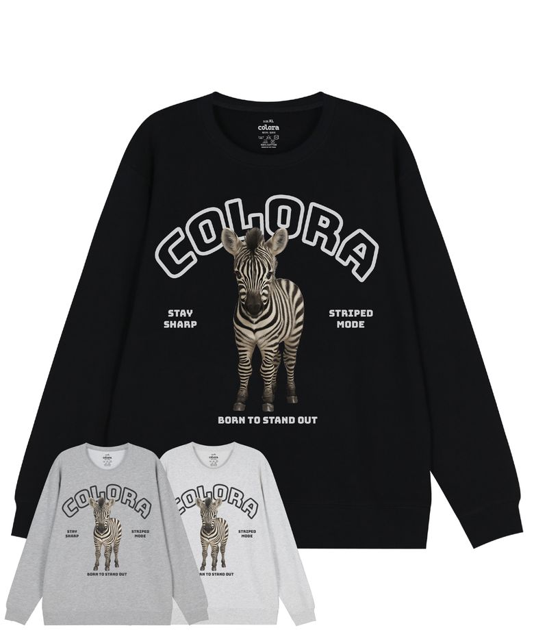 컬로라 베이비 지브라 스웻셔츠 (3color)