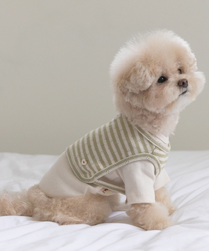 SSFW 코지 빕 셋업 - 크림 올리브