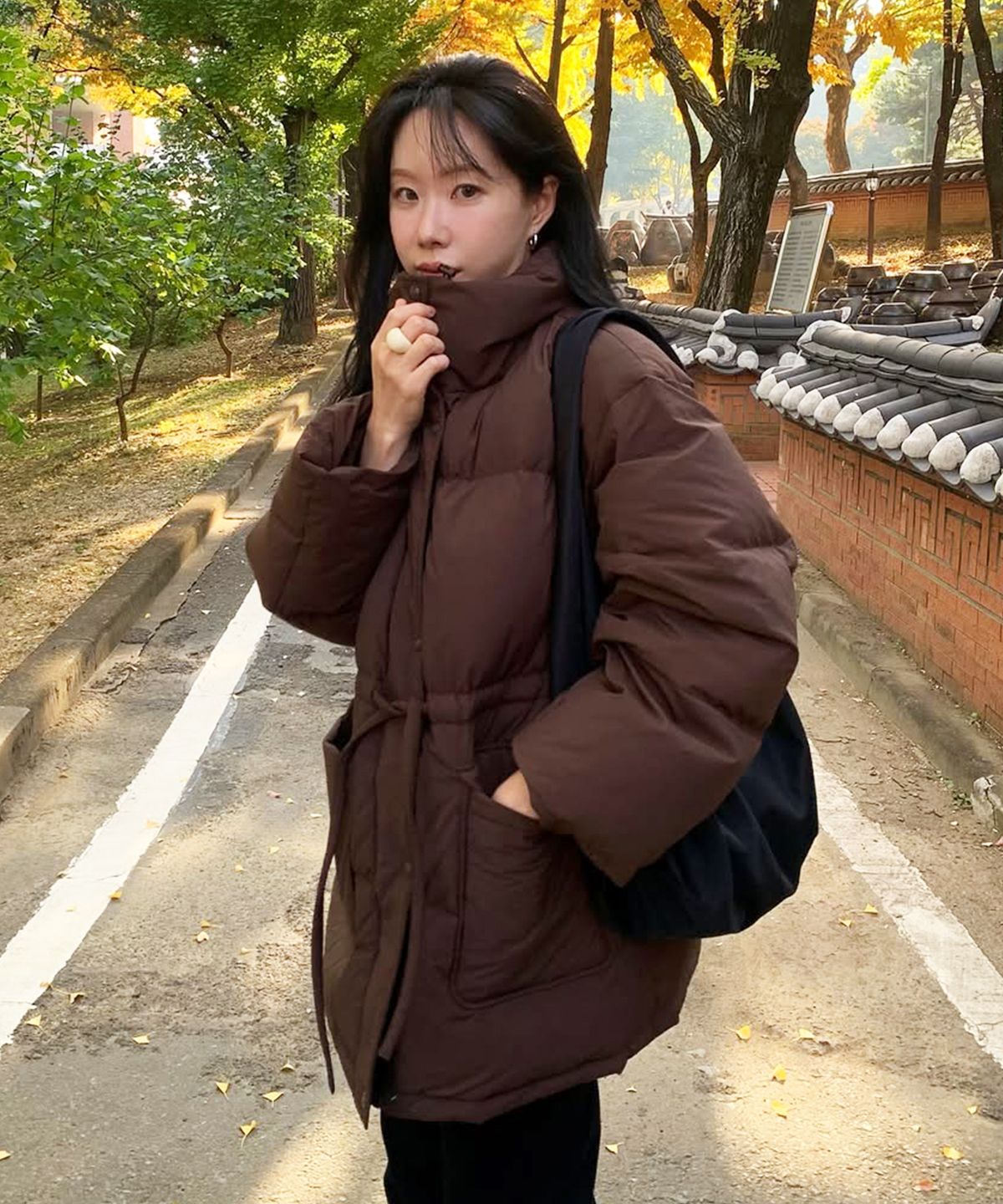 튜드먼트(TTUDEMENT) DUCK DOWN OVERFIT HALF JUMPER BROWN