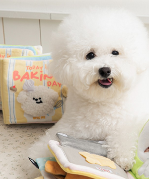 바잇미 강아지 분리불안 해소 마이버스데이 노즈워크 플레이북