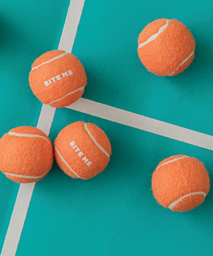 바잇미 미니 테니스공 장난감 3개입 (삑삑)