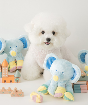 바잇미 양말 코끼리 노즈워크 장난감 (바스락/삑삑/노즈워크)