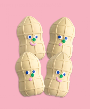 바잇미 알콩땅콩 라텍스 장난감 (4개입)