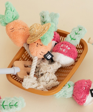 바잇미 뿌리채소 터그 장난감 (바스락/삑삑)