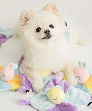 바잇미 바스락 블랭킷 터그 장난감 (바스락/삑삑)