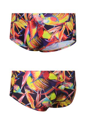 드림피쉬 쇼터 숏사각 929